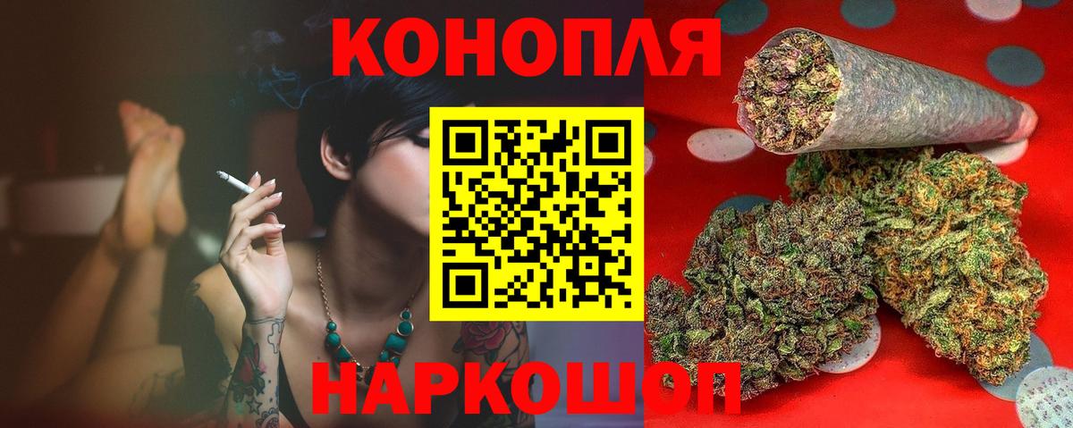 Канабис план Коряжма